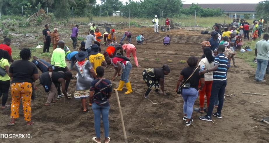 Farmers carrying out soil amendments using the biochar technology transfer at the RESADE - CARI Best Practice Hub near the Grand Bassa University campus in Buchanan