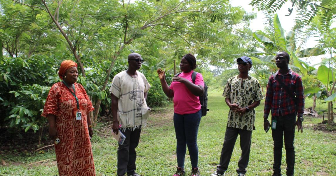 CARI’s newly recruited Director of Finance and Administration toured the institute’s coffee garden, accompanied by senior staff, as part of an orientation visit to gain firsthand insight into the institute’s agricultural research and production activities.