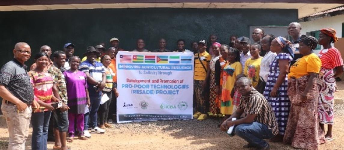 CARI/RESADE Project Collaborates With CDA To Transform Farmer-Based Organizations 