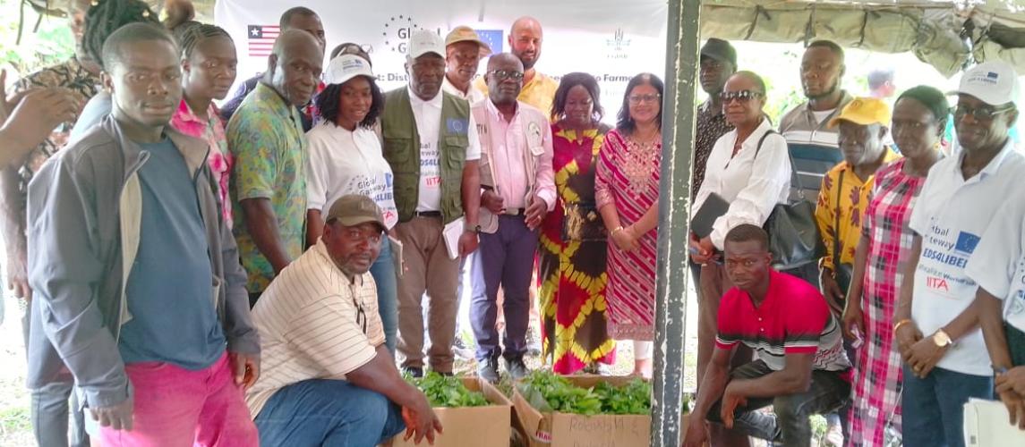 Stakeholders and farmers at the coffee seedlings distribution event at CARI
