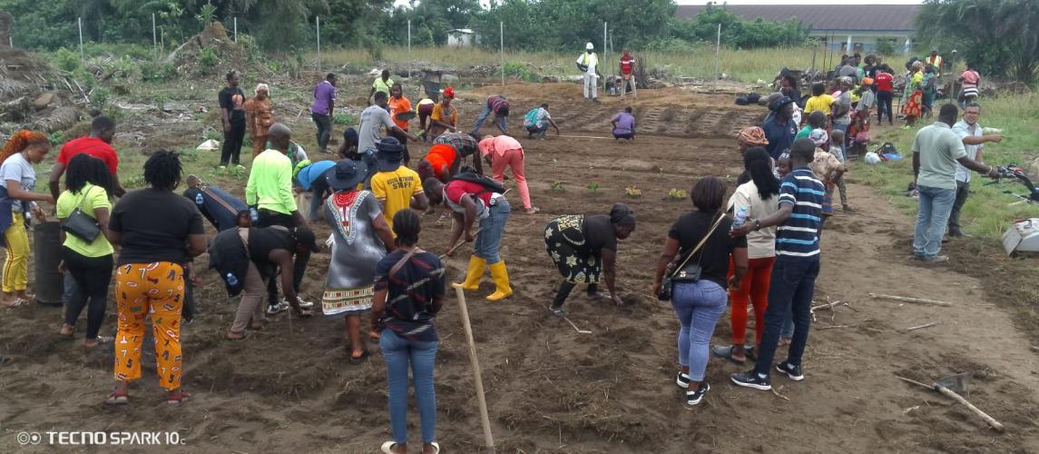 Farmers carrying out soil amendments using the biochar technology transfer at the RESADE - CARI Best Practice Hub near the Grand Bassa University campus in Buchanan