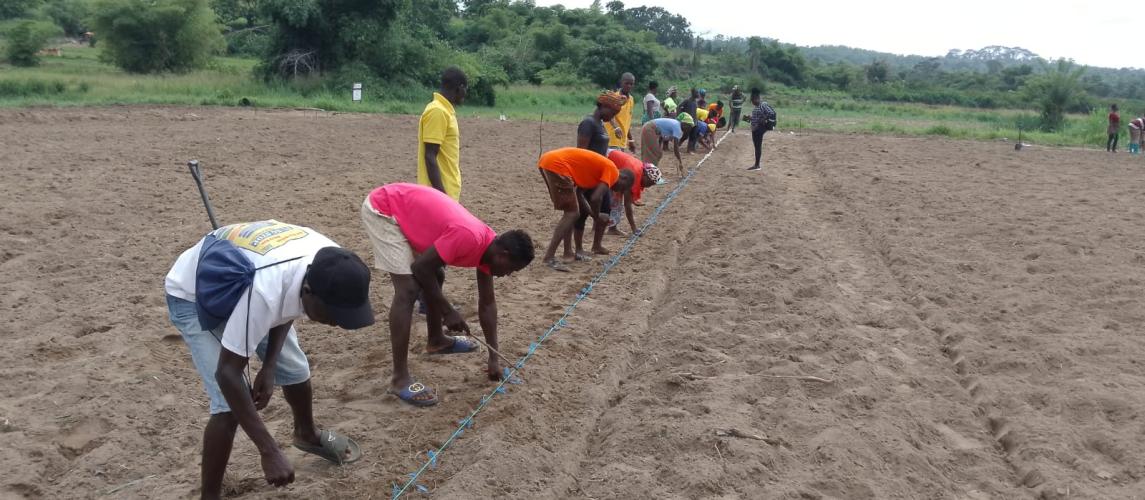 Farmers from 10 cooperatives learned about planting distances during the practical session at CARI in Suakoko.