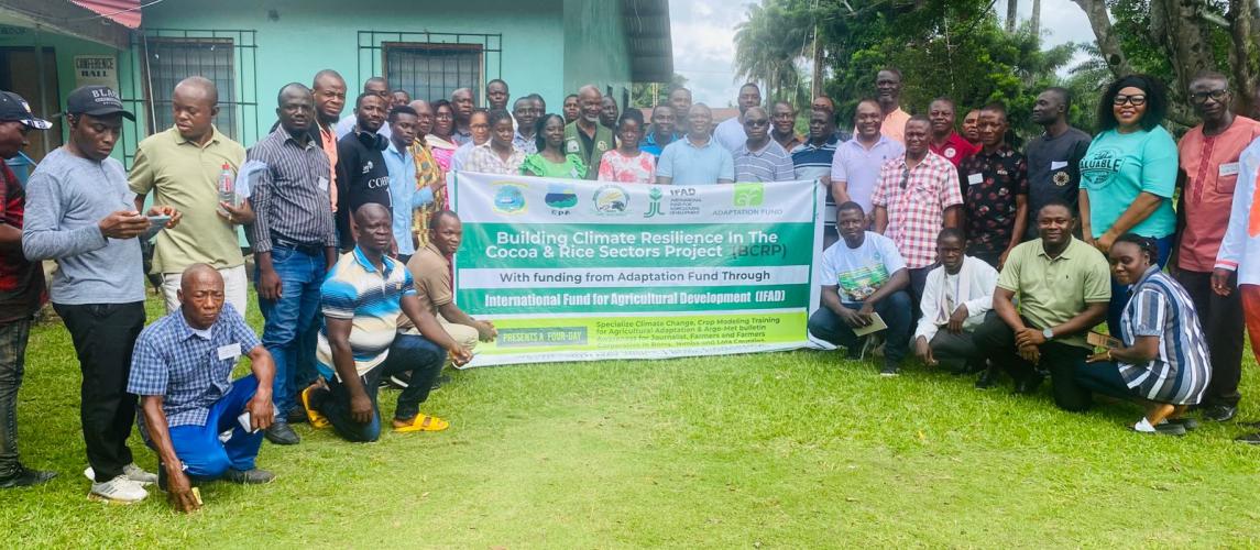 From Climate Data to Farmer Decisions: Strengthening Liberia’s Agriculture Through Crop Modelling and Agro-Met Bulletins