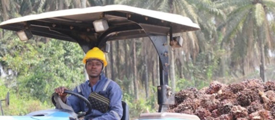 World Bank, IFAD Conclude Technical Implementation Support Mission for RETRAP and STAR-P