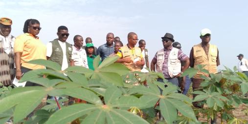 Agriculture Minister Nuetah Inspects CARI Cassava Production Site, Says Construction of Starch Processing Plant Ongoing